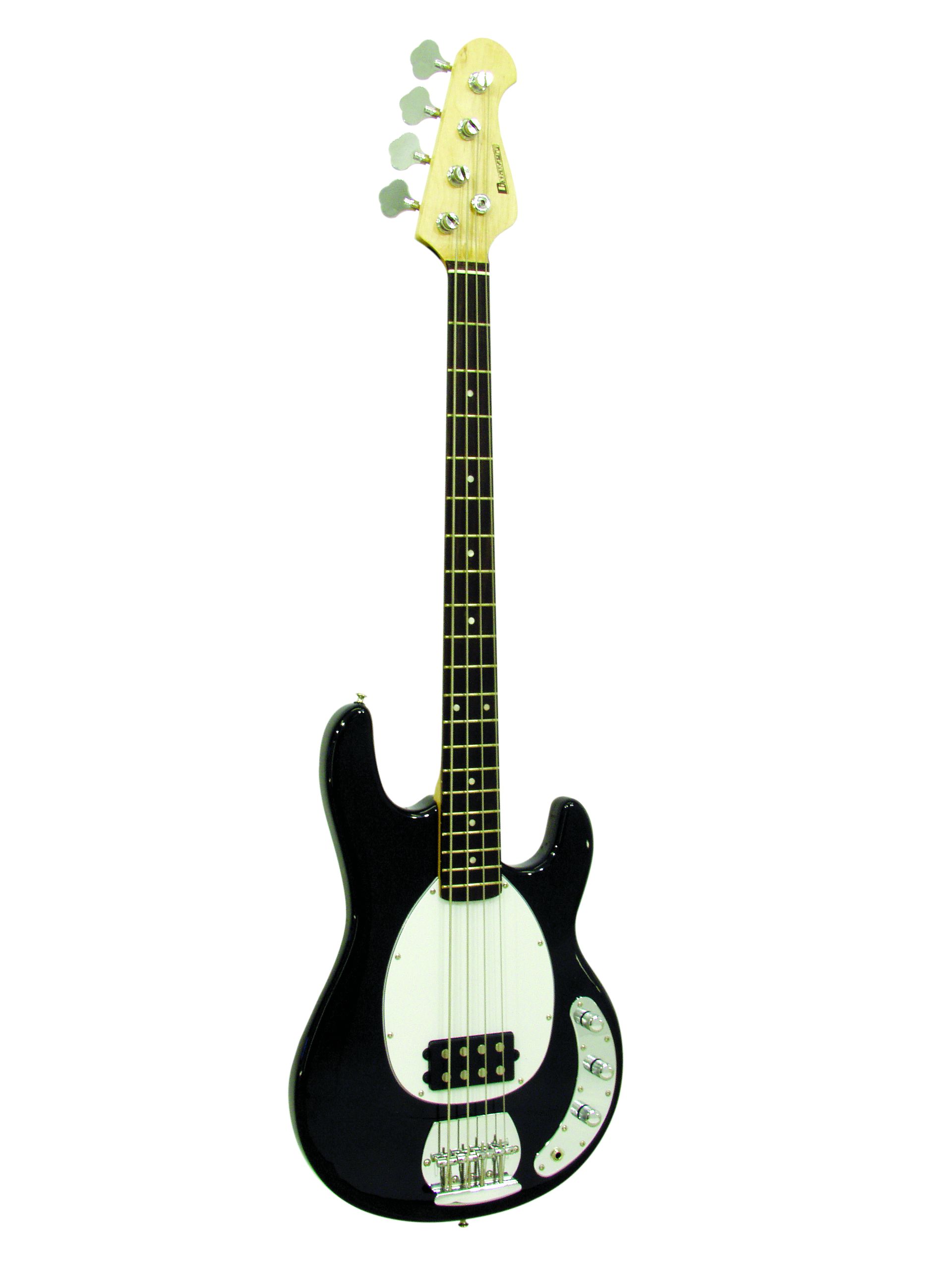 Set Up Electric Bass Guitar at Nikole Koh blog